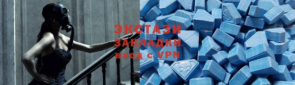 прущие грибы Болотное