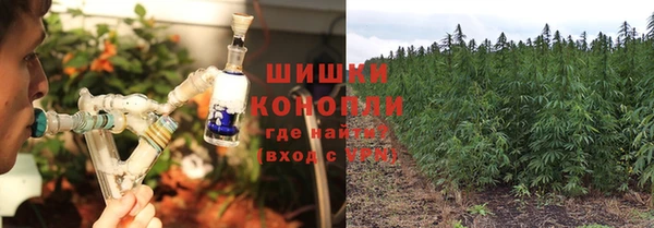стаф Абдулино