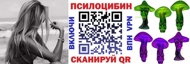 Галлюциногенные грибы Psilocybe  Яранск 